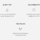 카비타