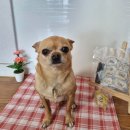 멍더랜드 이미지