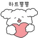 아일랑트