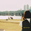 N130 네이버블로그