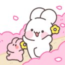 브러쉬블리(brushvely)