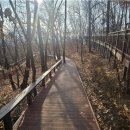 도구머리공원 이미지