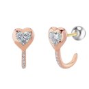 클라비스 이미지