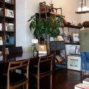 제주 달리 이미지