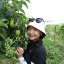 늘봄농장 이미지