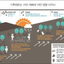 2080커피