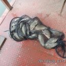 도곡낚시터 이미지