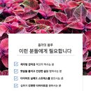 솔이랑봄