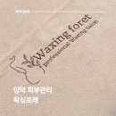 왁싱포레 - 평택시 | 포항 양덕 피부관리 왁싱포레 RF고주파관리 마사지 후기