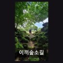 소길숲속