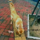 청운오토바이 네이버블로그