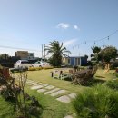 이디오랜 이미지