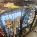 정선가축병원 이미지