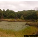 선흘 그곳 이미지