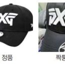 빅골프산업
