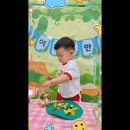 피클테라피