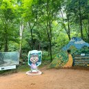 계족산황톳길 이미지