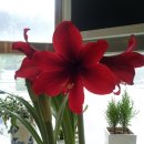 최재영한의원 네이버블로그