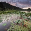 와우호수공원 이미지