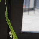 겸필라테스스튜디오