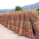 동락2리마을회관 이미지