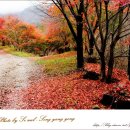 진산휴양림 이미지