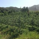 문성농장 이미지