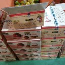 토마토잡 Daum카페