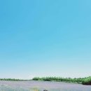 자연아그로 | 충남 당진 아그로랜드 방문후기 (가족여행 커플여행으로 강력추천)