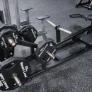 바디챌린저 이미지