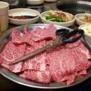 오늘은꽃데이