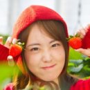 하늘농장5 이미지