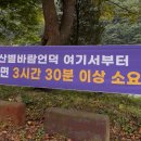 유명사 | 왓츠인마이블로그, 거창아스타국화축제 후기💜