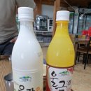 경치가 안주입니다 —다랭이마을 시골할매막걸리, 다랭이논과 남해 바다를 마시다