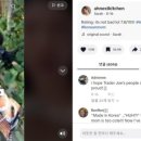 김밥먹자 이미지