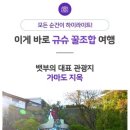 쇼핑엔즐거움