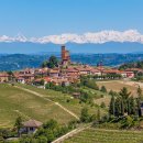 비네토(vigneto) 이미지