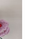 Re: 야채 협찬 이미지