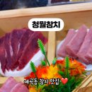 청월참치