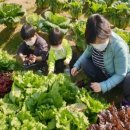 금천농장 이미지