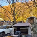 빨래터 컴퓨터 | [들살이오토캠핑장] 울산/양산 배내골 캠핑장 추천