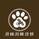 강아지 미장원 이미지