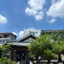 마을애견 | 전주 한옥마을 물왓동네 애견동반 한옥 카페 내돈내산 후기