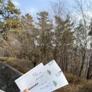 산 | 원주 뮤지엄산 후기｜제임스터렐관 꼭 봐야 하는 이유