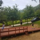 알프스농원 캠핑장 이미지