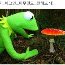 잎새삼국수2000원(익산어양점) | 익산족발 어양동맛집 족발형제 족발보쌈반반 맛있어요!