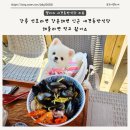 강릉 선호라면 강문해변 인근 애견동반식당 해물라면 솔직 후기
