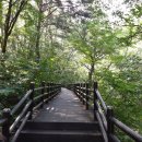 에버공인중개사사무소 이미지