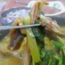 바우보양탕 티스토리