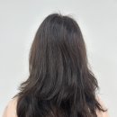 (주)은솔 | 빗질 안 되는 탄 머리 심폐소생, 배곧미용실 은솔쌤의 신데렐라 복구클리닉 찐 시술 후기 (비포애프터)